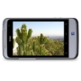 HTC Salsa