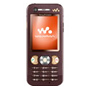 Sony Ericsson W890i