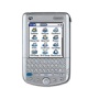 Palm C